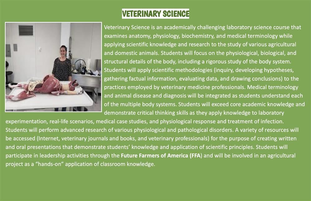 vet